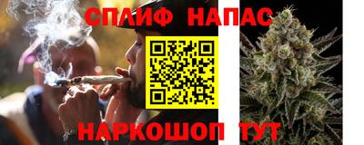 не бодяженный Тара