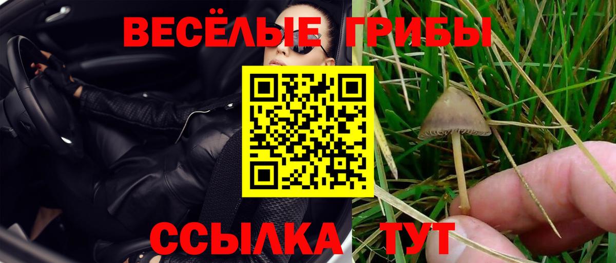 где купить наркоту  Псилоцибиновые грибы прущие грибы  Вход с VPN  Орёл 